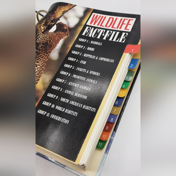 Vintage 1990 WILDLIFE FACT FILE Animal Binder 11 Dividers 260+ Cards Homeschool - Picture 4 of 10
